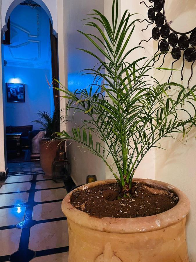 Riad Ms Holidays Terrasse Privatise Marrakech Marrakesch Exterior foto